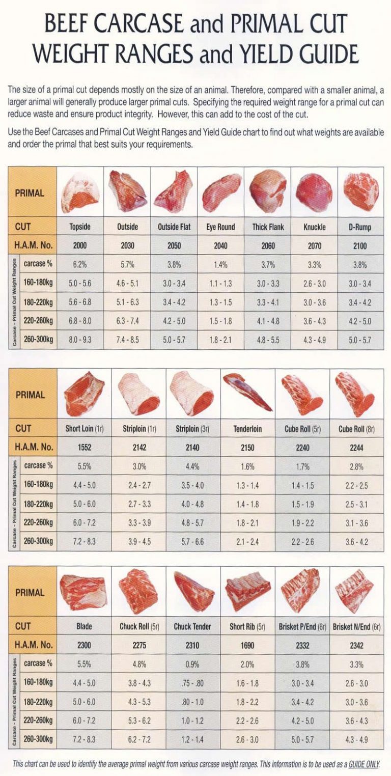 Complete Guide To Cuts Of Beef - Guide BizGuru